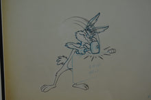 Load image into Gallery viewer, Looney Tunes - Original animation cel and drawing of Wile E. Coyote, Framed