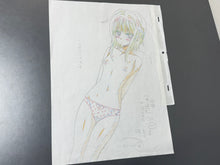 Load image into Gallery viewer, High School DxD (2012) - Original animation drawing, in color (big size: 40x32 cm)