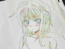 Load image into Gallery viewer, High School DxD (2012) - Original animation drawing, in color (big size: 40x32 cm)