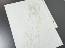 Load image into Gallery viewer, High School DxD (2012) - Original animation drawing, in color (big size: 40x32 cm)