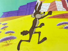 Load image into Gallery viewer, Looney Tunes - Original animation cel of Wile E. Coyote, Framed