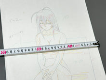 Load image into Gallery viewer, J.C.Staff - Ikki Tousen (2003) Original animation drawing (+18) 38x30 cm