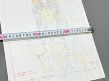 Load image into Gallery viewer, J.C.Staff - Ikki Tousen (2003) Original animation drawing (+18) 38x30 cm