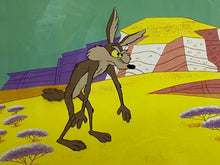 Load image into Gallery viewer, Looney Tunes - Original animation cel and drawing of Wile E. Coyote, Framed