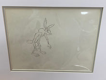 Load image into Gallery viewer, Looney Tunes - Original animation cel and drawing of Wile E. Coyote, Framed