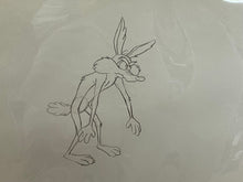 Load image into Gallery viewer, Looney Tunes - Original animation cel and drawing of Wile E. Coyote, Framed