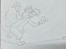 Load image into Gallery viewer, Looney Tunes - Original animation drawing of Sylvester the Cat (XL big size)