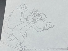 Load image into Gallery viewer, Looney Tunes - Original animation drawing of Sylvester the Cat (XL big size)