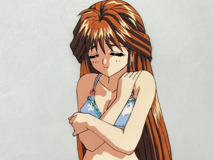 Adult Themes in Japanese Animation: Censorship, Culture, and Collectibility