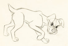 Load image into Gallery viewer, Lady and the Tramp Animation Drawing Featuring Tramp (Walt Disney, 1955)
