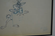 Load image into Gallery viewer, Looney Tunes - Original animation cel and drawing of Wile E. Coyote, Framed
