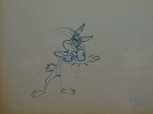 Load image into Gallery viewer, Looney Tunes - Original animation cel and drawing of Wile E. Coyote, Framed
