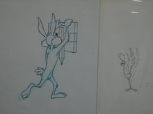 Load image into Gallery viewer, Looney Tunes - Original animation cel and drawing of Wile E. Coyote &amp; Road Runner, Framed
