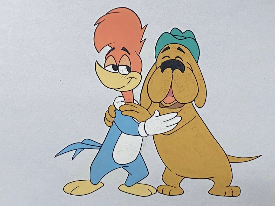 The Woody Woodpecker Show - Original Animation Cel and Drawing