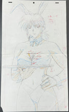 Load image into Gallery viewer, Hyper Police (1997) - Original animation drawing (47x28 cm, big size! in color)

