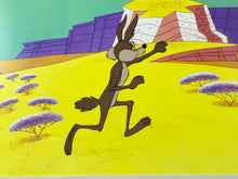Load image into Gallery viewer, Looney Tunes - Original animation cel of Wile E. Coyote, Framed
