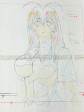 Load image into Gallery viewer, J.C.Staff - Ikki Tousen (2003) Original animation drawing (+18) 38x30 cm
