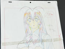 Load image into Gallery viewer, J.C.Staff - Ikki Tousen (2003) Original animation drawing (+18) 38x30 cm

