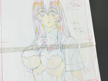 Load image into Gallery viewer, J.C.Staff - Ikki Tousen (2003) Original animation drawing (+18) 38x30 cm
