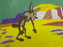 Load image into Gallery viewer, Looney Tunes - Original animation cel and drawing of Wile E. Coyote, Framed
