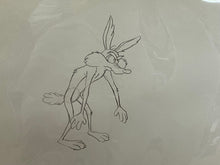 Load image into Gallery viewer, Looney Tunes - Original animation cel and drawing of Wile E. Coyote, Framed
