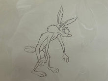 Load image into Gallery viewer, Looney Tunes - Original animation cel and drawing of Wile E. Coyote, Framed
