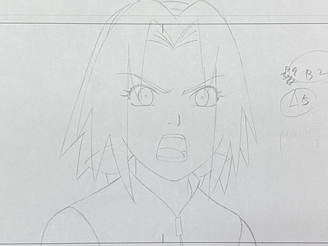 Naruto - Original drawing of Sakura Haruno, set of 2