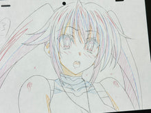 Load image into Gallery viewer, High School DxD (2012) - Original animation drawing, in color
