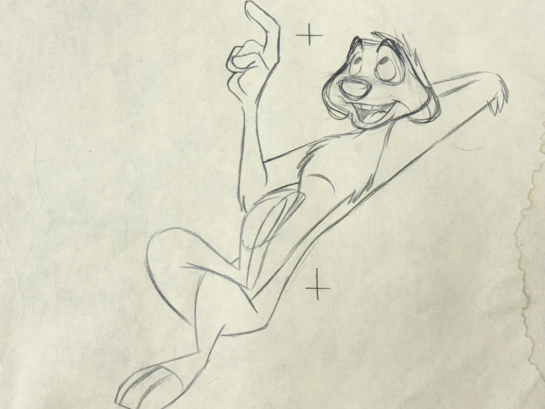 Lion King - Original Animation Drawing of Timon