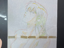 Load image into Gallery viewer, Megazone 23 Part III (OVA) (Shinji Aramaki, 1989) - Original animation cel and drawing of Ryoo, big size, extremely rare!
