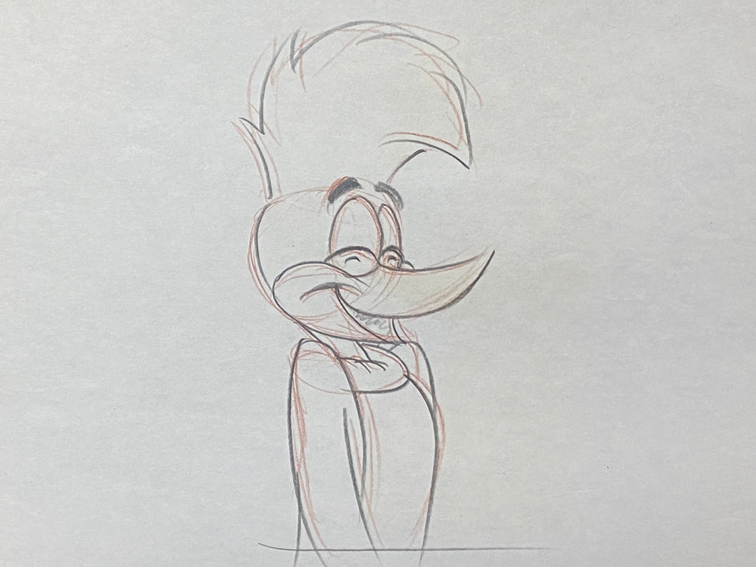 The Woody Woodpecker Show - Original Animation Drawing