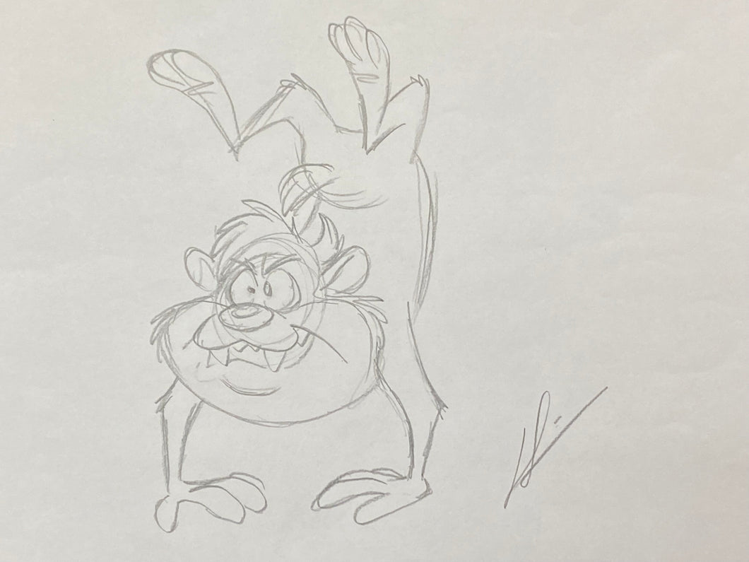 Looney Tunes - Original drawing of Tasmanian Devil