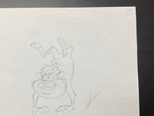 Load image into Gallery viewer, Looney Tunes - Original drawing of Tasmanian Devil
