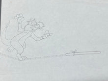 Load image into Gallery viewer, Looney Tunes - Original animation drawing of Sylvester the Cat (XL big size)
