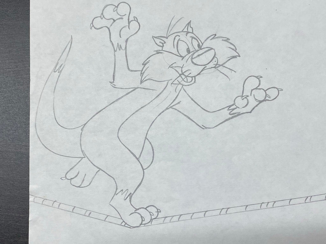 Looney Tunes - Original animation drawing of Sylvester the Cat (XL big size)