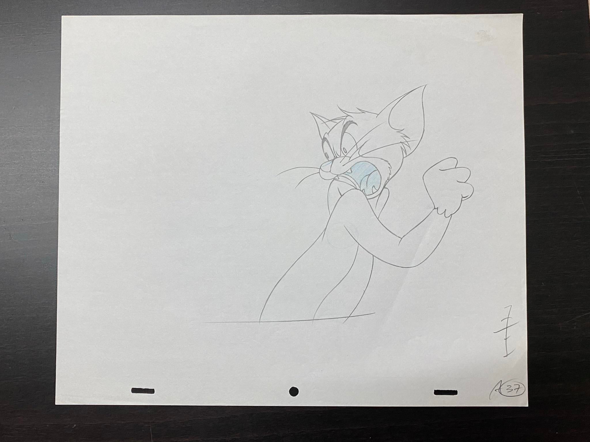Original Publicity Drawing of Tom and Jerry from The Fast and the Furry  (2005)